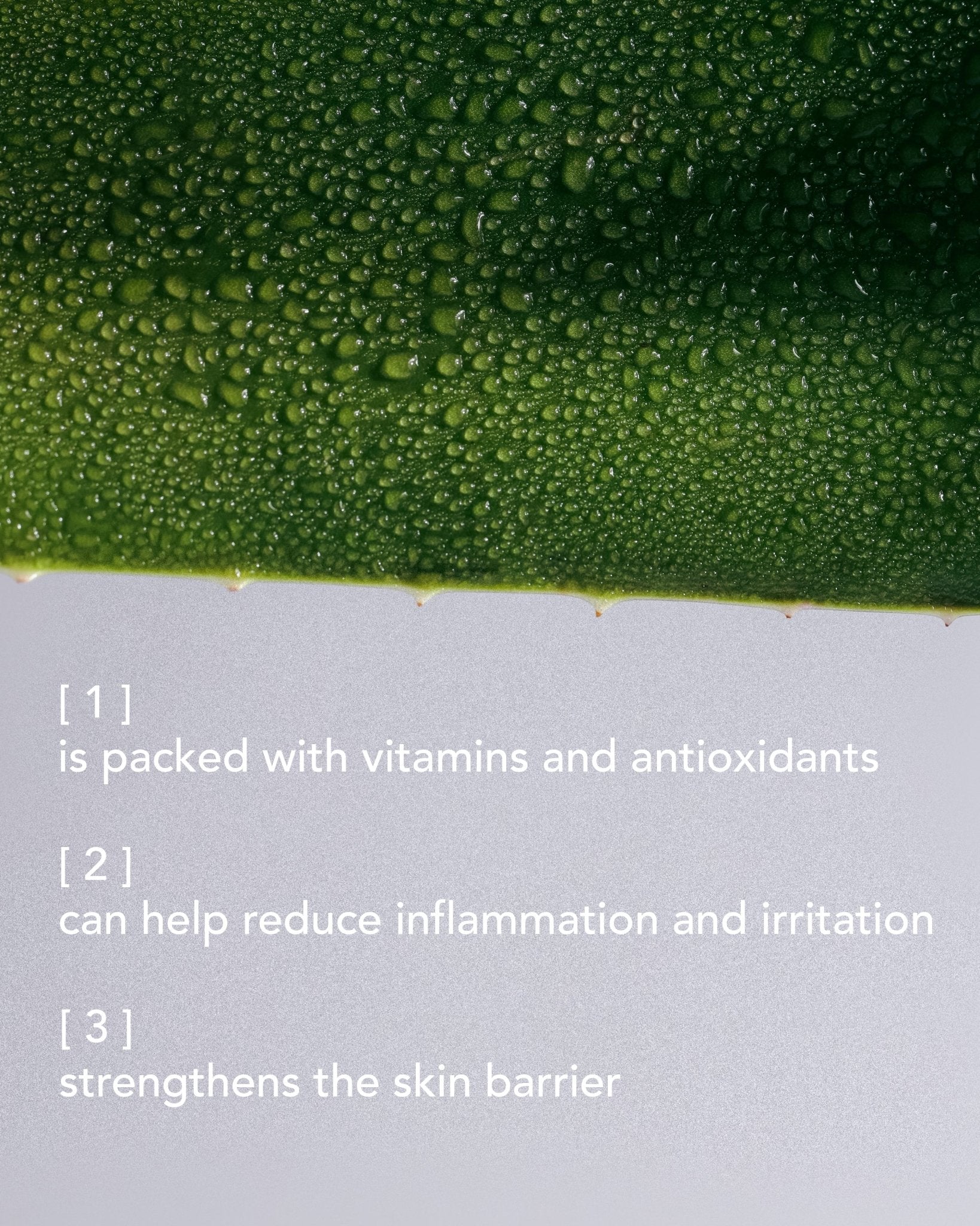 BIOSET - PSEUDO LABS